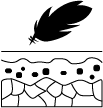 LIPODERMIC icone